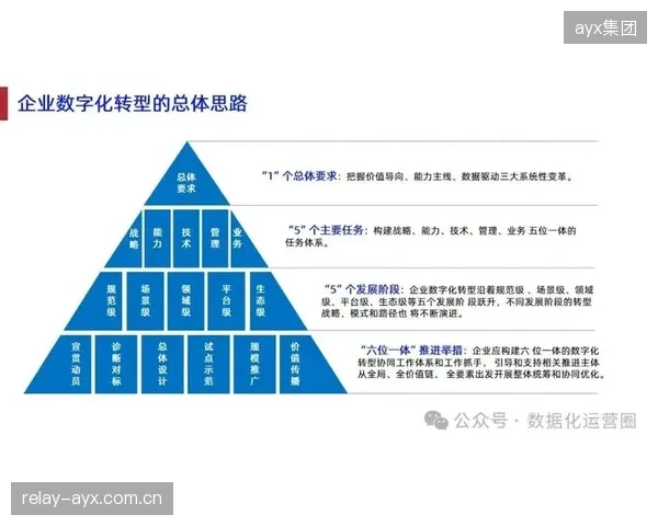 商业合作体系激活数据变现路径 数字化升级阶段拓展盈利空间